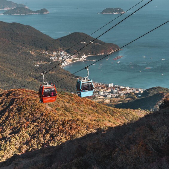 Picture 3 for Activity Busan: Geoje Coastal Escape, Sea Breeze, Oedo Botania Island 2