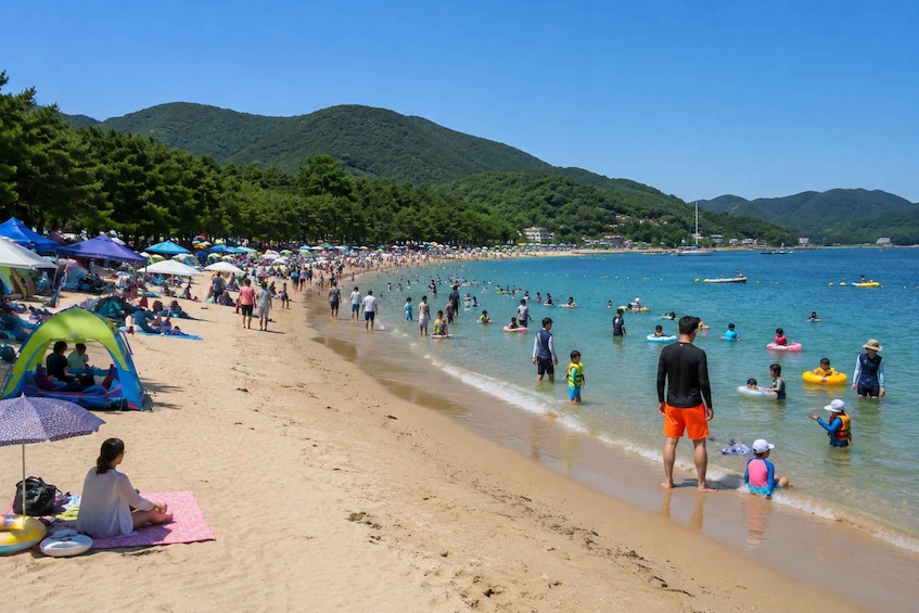 Picture 17 for Activity Busan: Geoje Coastal Escape, Sea Breeze, Oedo Botania Island 2