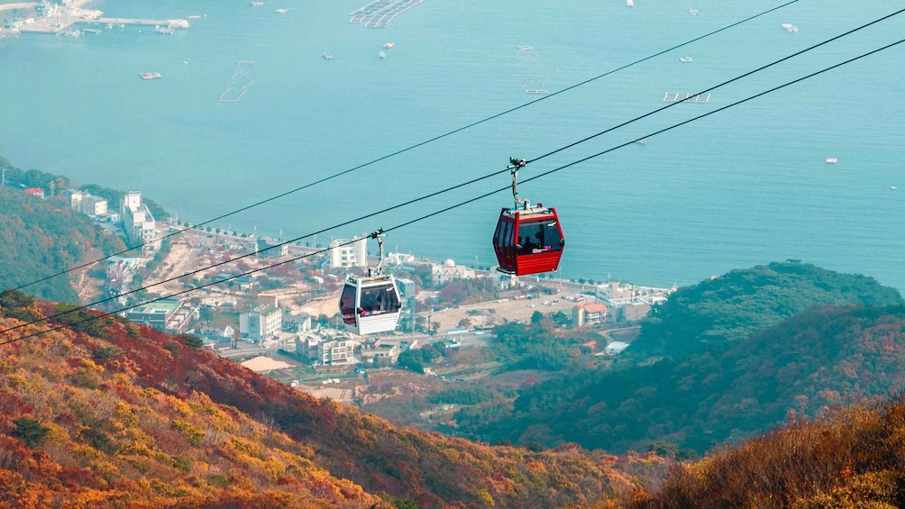 Picture 15 for Activity Busan: Geoje Coastal Escape, Sea Breeze, Oedo Botania Island 4