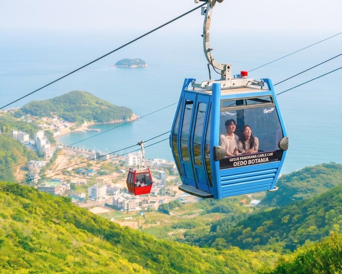 Picture 3 for Activity Busan: Geoje Coastal Escape, Sea Breeze, Oedo Botania Island 3