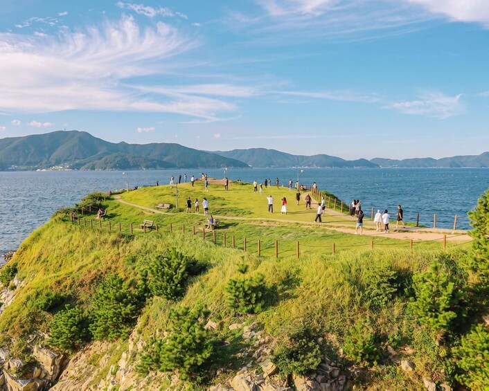 Picture 14 for Activity Busan: Geoje Coastal Escape, Sea Breeze, Oedo Botania Island 2