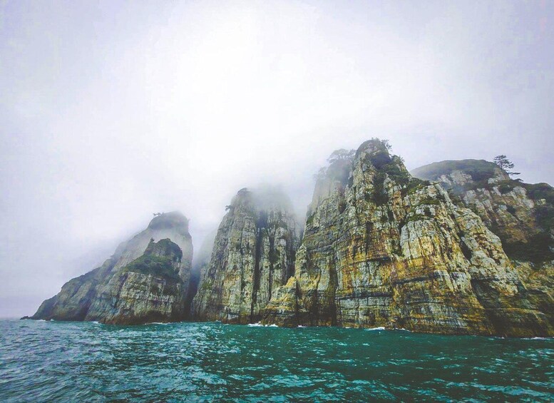 Picture 9 for Activity Busan: Geoje Coastal Escape, Sea Breeze, Oedo Botania Island 3