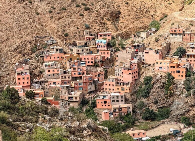 Picture 29 for Activity Ourika Waterfalls, Guide, Atlas Mountains & Riverside Lunch 4