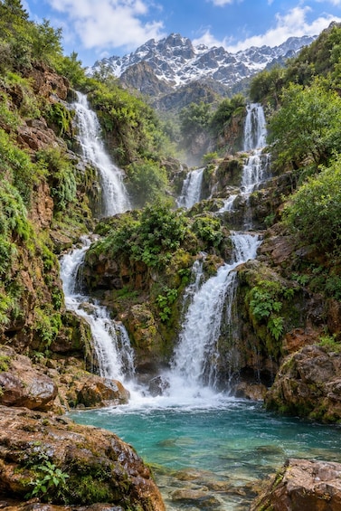 Picture 31 for Activity Ourika Waterfalls, Atlas Mountains, Day Trip, Guide & Lunch 5