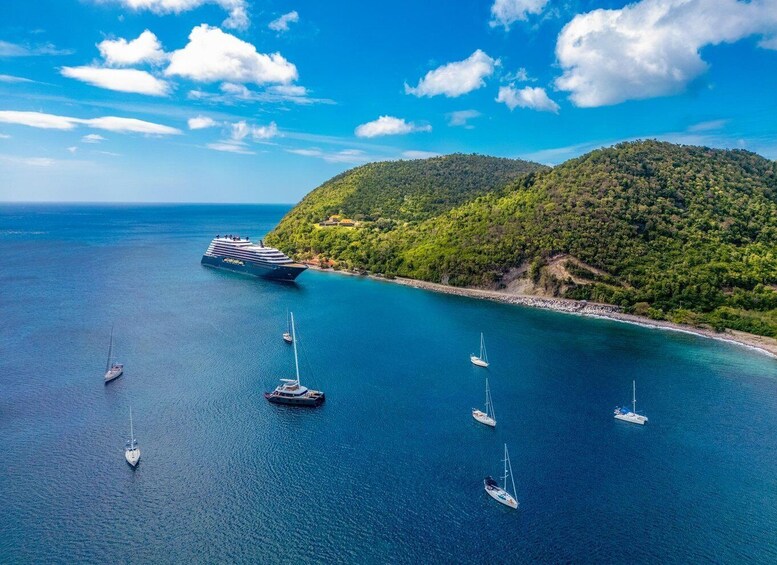 A cruise ship, several sailboats, and a forested island in a clear blue sea. 2