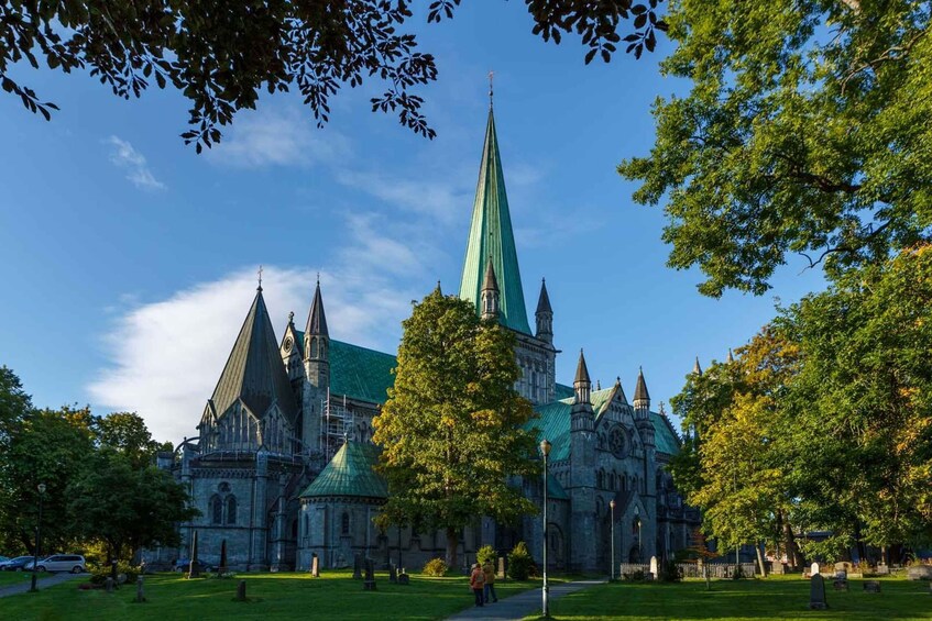 Picture 1 for Activity Trondheim pur - explore the highlights by bus & walk 3
