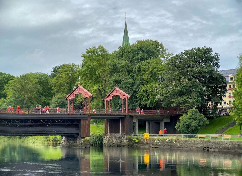 Trondheim pur - explore the highlights by bus & walk 1