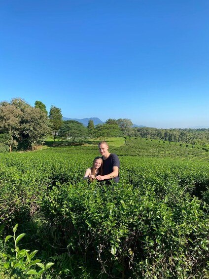 Picture 45 for Activity Chiang Rai:Guided Highlights Full-Day Tour-Free Lunch Buffet 5