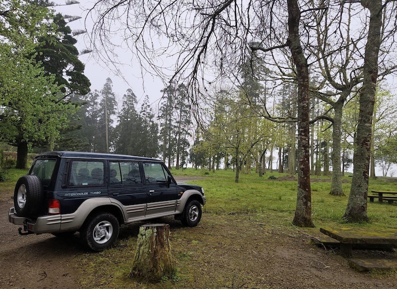 Picture 5 for Activity Full Day Sete Cidades + Lagoa do Fogo 2