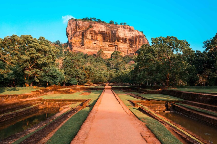 Picture 4 for Activity Sigiriya and Dambulla day tour from Ella 5
