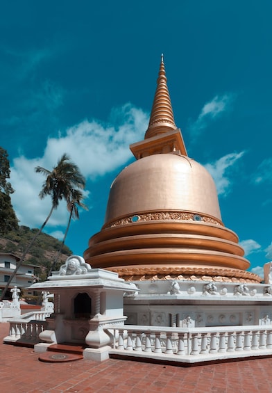 Picture 7 for Activity Sigiriya and Dambulla day tour from Ella 4