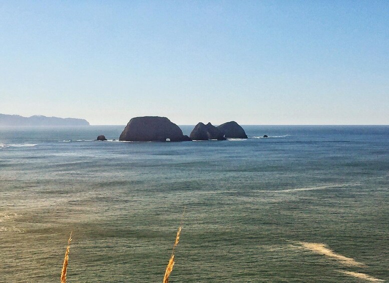 Picture 7 for Activity From Portland: Oregon Coast Day Trip to Three Capes Loop 2