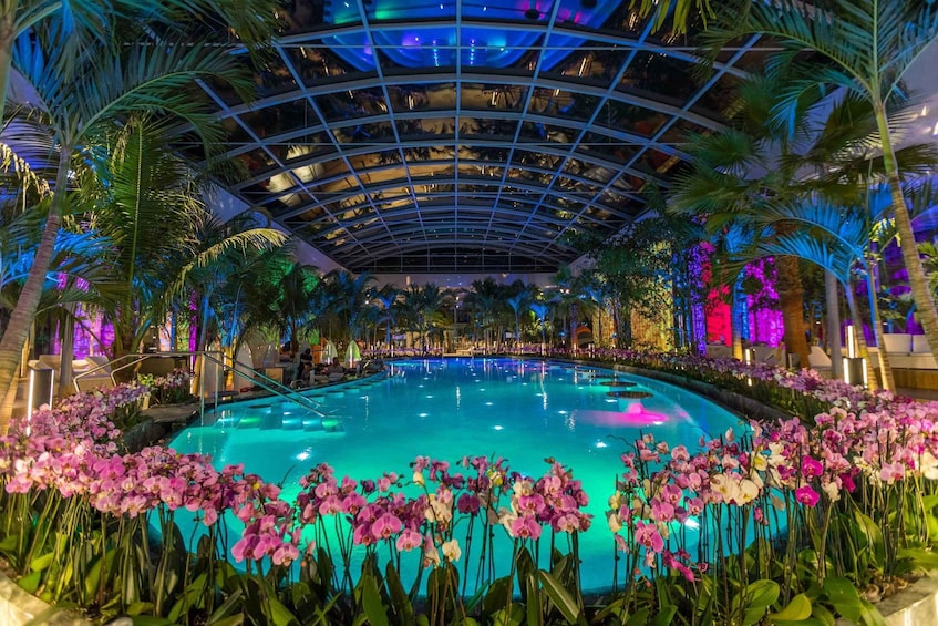 Picture 6 for Activity Bucuresti: Therme Bucharest Evening Entry Ticket & Transfer 2