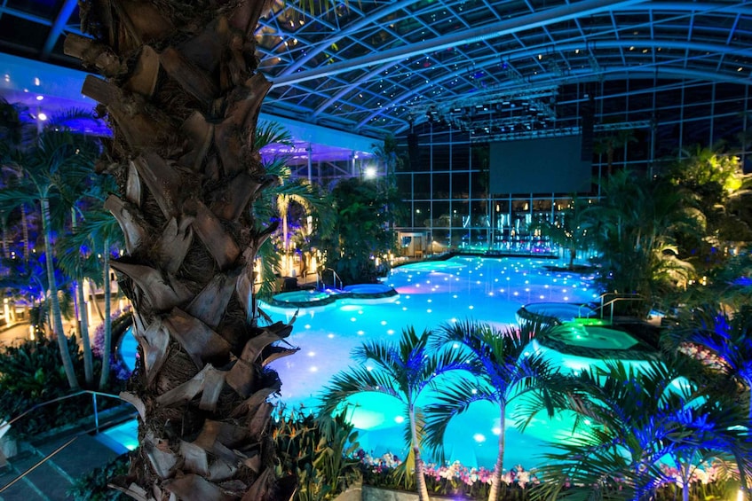 Bucuresti: Therme Bucharest Evening Entry Ticket & Transfer 3