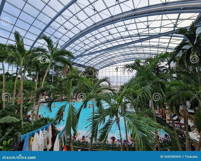 Picture 8 for Activity Bucuresti: Therme Bucharest Evening Entry Ticket & Transfer 3