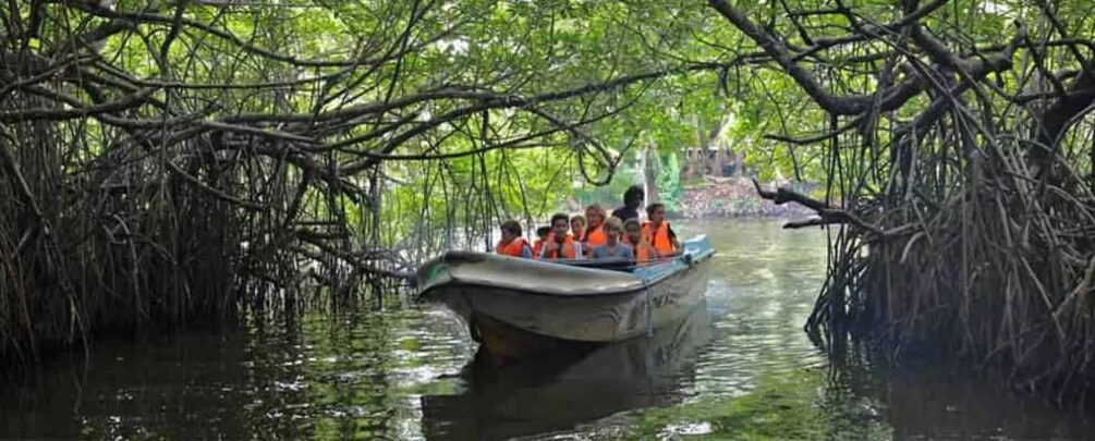 A boat with people wearing orange life jackets navigating through mangrove channels. 4