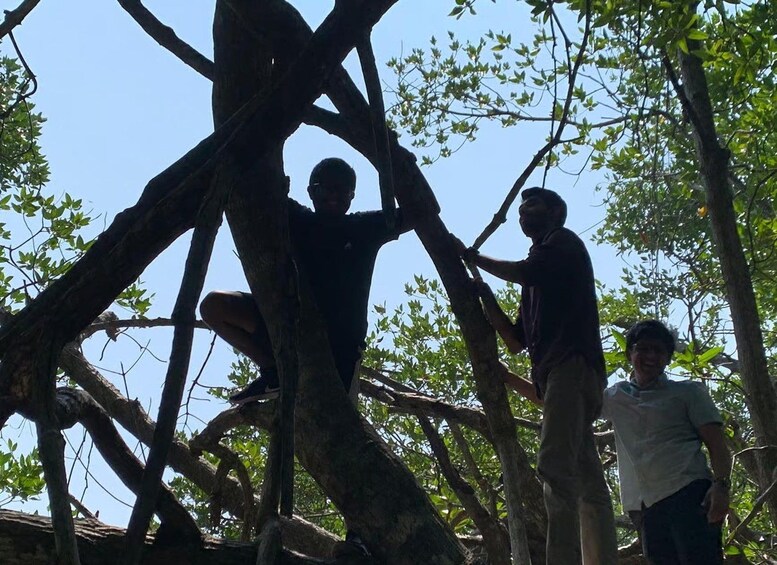 Two individuals climbing a large tree with a clear sky in the background. 5
