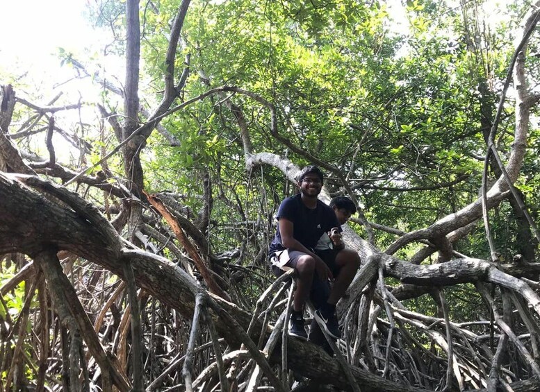 A person sitting on a tree branch in a dense forest. 2