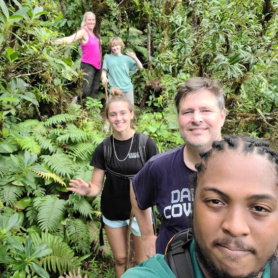 Scenic Rainforest Hike & Snacks 1
