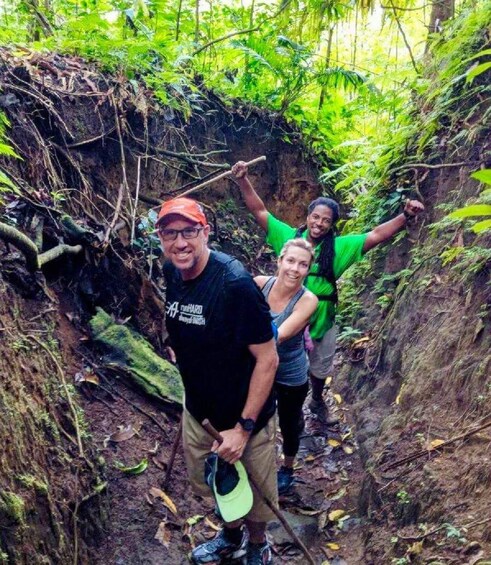 Picture 13 for Activity Scenic Rainforest Hike & Snacks 2