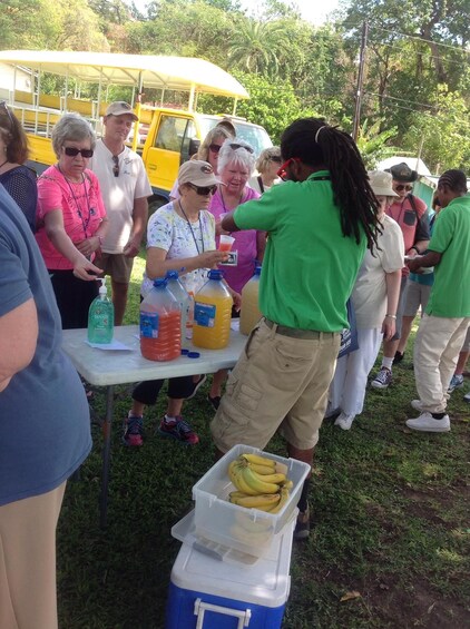 Picture 14 for Activity Scenic Rainforest Hike & Snacks 3