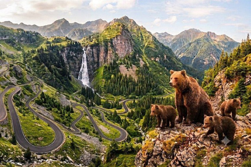Transfăgărășan -Top Gear Road, Small-group max 7 & Pick-up 1
