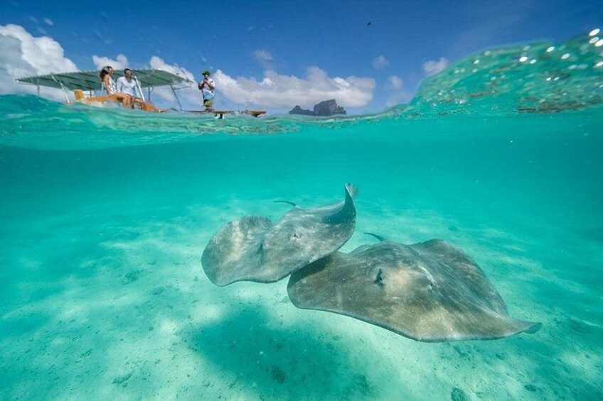 Bora Bora Combo group tour full day snorkeling + motu lunch + jet ski 2