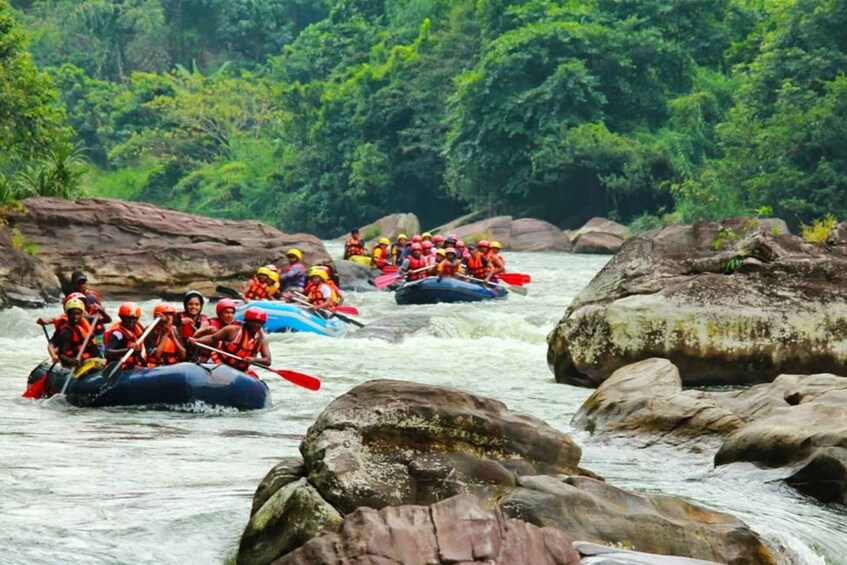 Picture 2 for Activity Adventure Experience N in Kitulgala 4