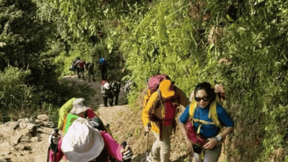 Hikers on a forested trail with backpacks and a white hat. 3
