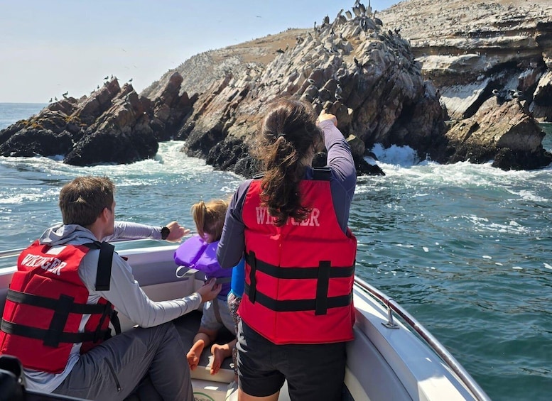 Picture 8 for Activity Ballestas Island & Candelabra Boat Tour 2