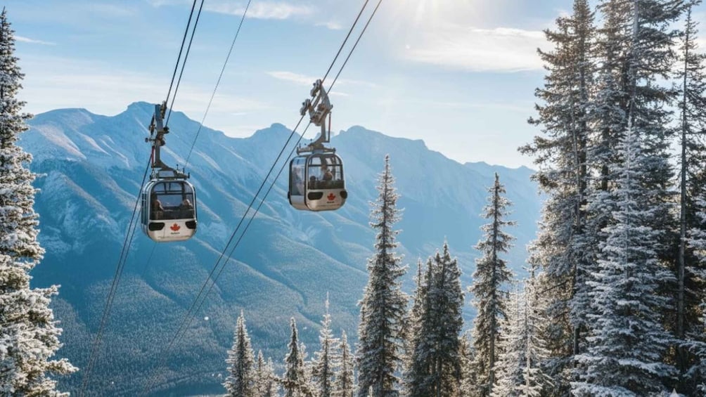 Picture 1 for Activity Banff National Park Day Tour with Optional Gondola 5