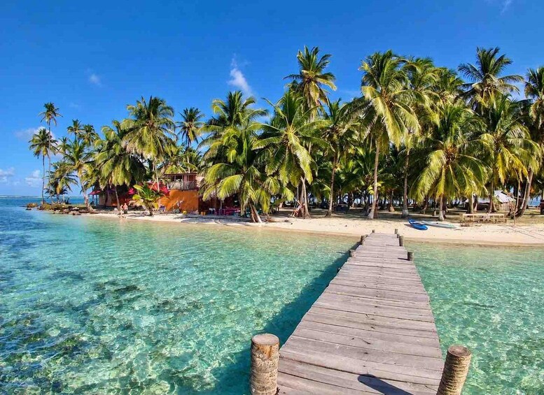 A wooden pier leading to a beach with clear turquoise water and palm trees. 1