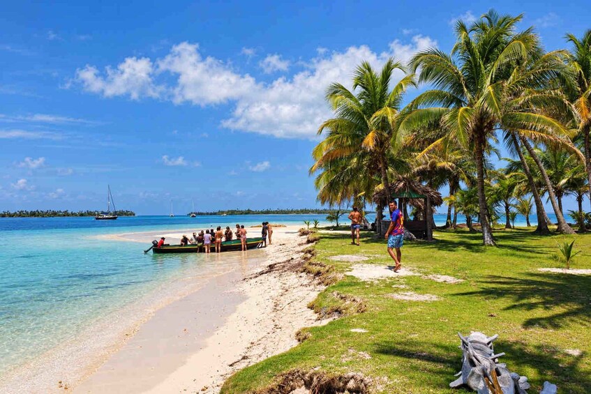 A beach with people in a boat, palm trees, and a clear blue sky. 3