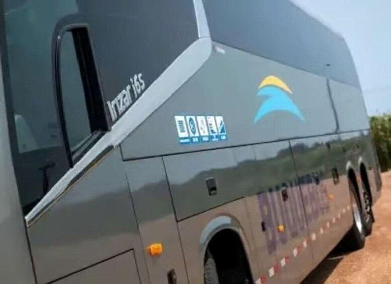 A bus with a logo and text on its side. 5