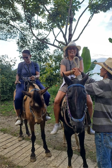 Picture 14 for Activity Medellin: Horseback Riding Coffee Farm Tour with Coffee Spa 3