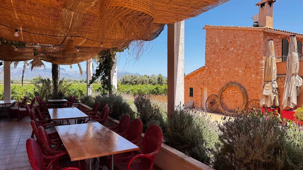 Picture 6 for Activity Family Winery Tour & Tasting with Tramuntana Mountain Views 1