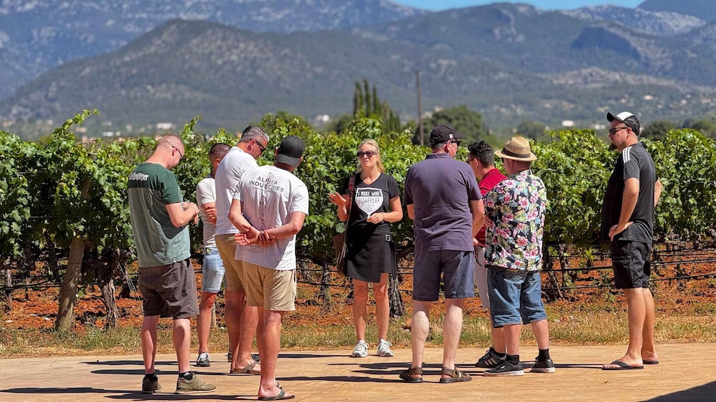 Family Winery Tour & Tasting with Tramuntana Mountain Views 3