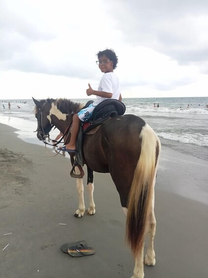 Picture 9 for Activity Cartagena: Horse Riding on the Beach with Photos and Lunch 2