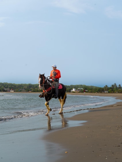 Cartagena: Horse Riding on the Beach with Photos and Lunch 1