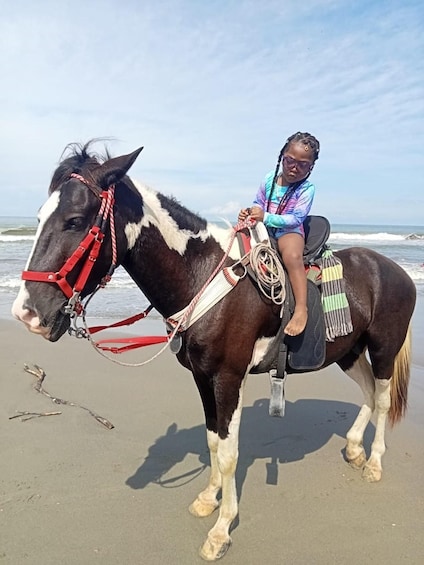 Picture 10 for Activity Cartagena: Horse Riding on the Beach with Photos and Lunch 4