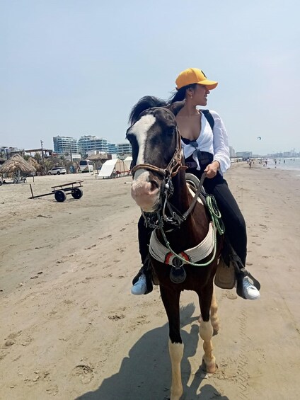 Picture 2 for Activity Cartagena: Horse Riding on the Beach with Photos and Lunch 5
