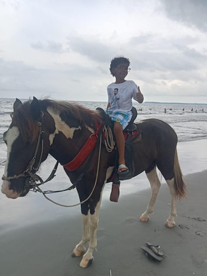 Picture 8 for Activity Cartagena: Horse Riding on the Beach with Photos and Lunch 3