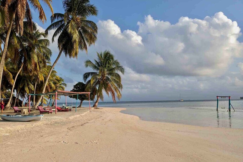 A beach with palm trees, a swing set, and a boat. 2