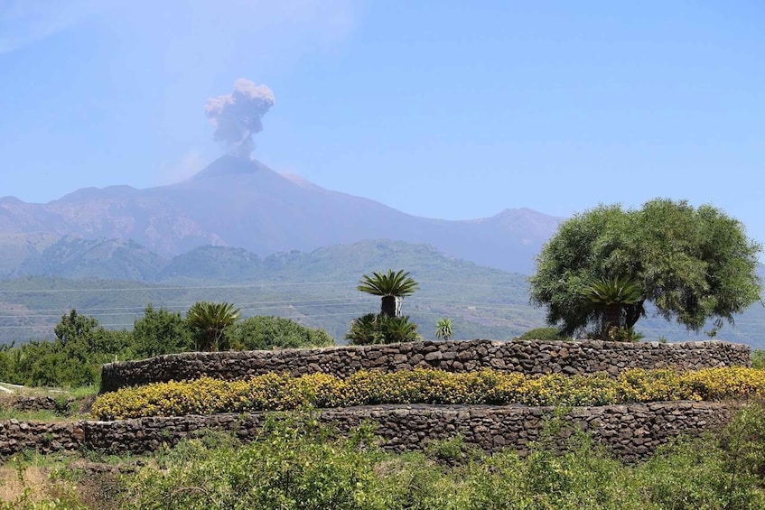 A volcano with smoke, a stone wall with yellow flowers, and a tree. 3