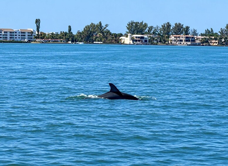 Picture 16 for Activity Sarasota Florida: Skyway Fishing Tours 4