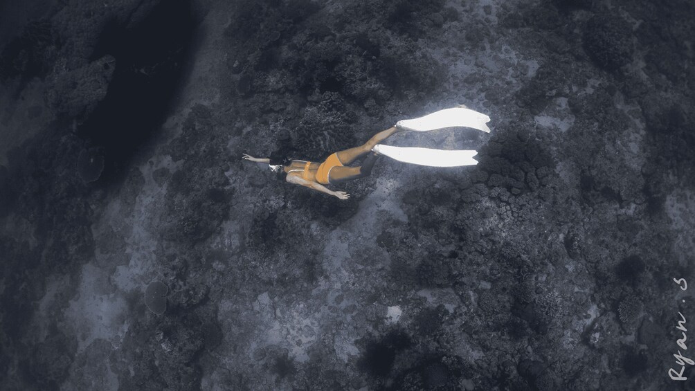A person snorkeling in a dark underwater environment. 3