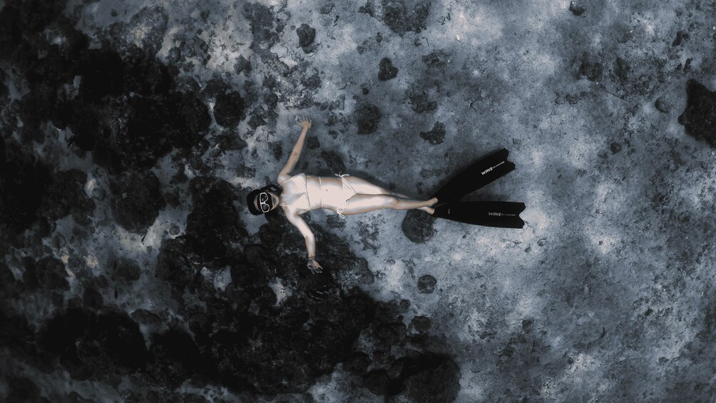 A person snorkeling in a rocky underwater environment. 1