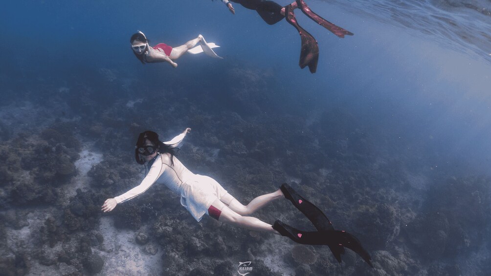 Three people scuba diving underwater. 2