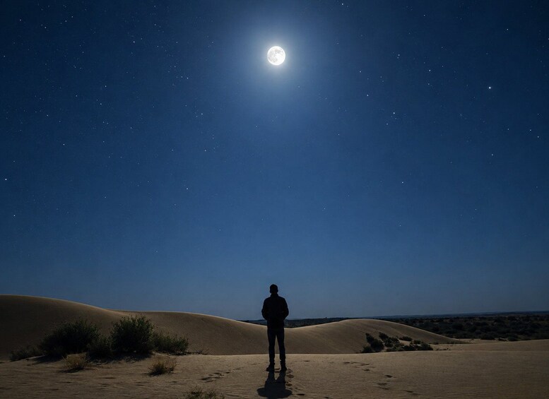 A person standing on a sand dune under a starry night sky with a full moon. 5