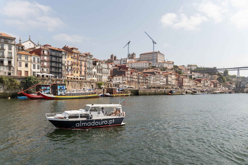Porto: Private Douro Cruise, 6 Bridges & Sunset Only for You 1